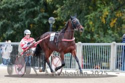 Dateiname=20251012_r07_019_R07_0104.jpg
Dateigröße=303KB
Abmessungen: 1000x667
hinzugefügt am: 14. Oktober 2025 20251012_r07_019_R07_0104.jpg