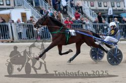 Dateiname=20251012_r07_036_R07_0158.jpg
Dateigröße=294KB
Abmessungen: 1000x667
hinzugefügt am: 14. Oktober 2025 20251012_r07_036_R07_0158.jpg