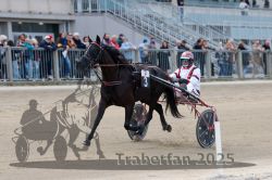 Dateiname=20251012_r07_044_R07_0187.jpg
Dateigröße=277KB
Abmessungen: 1000x667
hinzugefügt am: 14. Oktober 2025 20251012_r07_044_R07_0187.jpg