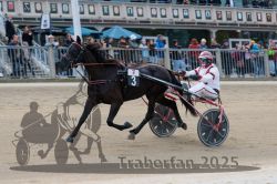 Dateiname=20251012_r07_051_R07_0203.jpg
Dateigröße=295KB
Abmessungen: 1000x667
hinzugefügt am: 14. Oktober 2025 20251012_r07_051_R07_0203.jpg