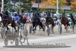 Dateiname=20251012_r07_091_R07_0345.jpg
Dateigröße=327KB
Abmessungen: 1000x667
hinzugefügt am: 14. Oktober 2025 20251012_r07_091_R07_0345.jpg