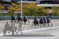 Dateiname=20251012_r07_102_R07_0380.jpg
Dateigröße=308KB
Abmessungen: 1000x667
hinzugefügt am: 14. Oktober 2025 20251012_r07_102_R07_0380.jpg