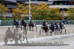 Dateiname=20251012_r07_103_R07_0383.jpg
Dateigröße=310KB
Abmessungen: 1000x667
hinzugefügt am: 14. Oktober 2025 20251012_r07_103_R07_0383.jpg