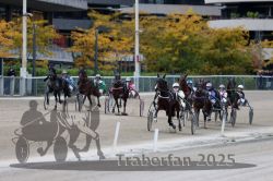 Dateiname=20251012_r07_105_R07_0389.jpg
Dateigröße=303KB
Abmessungen: 1000x667
hinzugefügt am: 14. Oktober 2025 20251012_r07_105_R07_0389.jpg