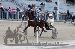 Dateiname=20251012_r07_120_R07_0424.jpg
Dateigröße=283KB
Abmessungen: 1000x667
hinzugefügt am: 14. Oktober 2025 20251012_r07_120_R07_0424.jpg