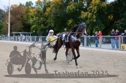 Dateiname=20251012_r07_140_CR5_0350.jpg
Dateigröße=353KB
Abmessungen: 1000x667
hinzugefügt am: 14. Oktober 2025 20251012_r07_140_CR5_0350.jpg