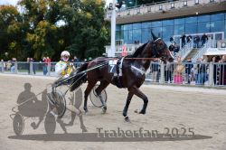 Dateiname=20251012_r07_141_CR5_0353.jpg
Dateigröße=345KB
Abmessungen: 1000x667
hinzugefügt am: 14. Oktober 2025 20251012_r07_141_CR5_0353.jpg