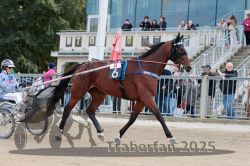 Dateiname=20251012_r08a_001_R05_0296.jpg
Dateigröße=333KB
Abmessungen: 1000x667
hinzugefügt am: 14. Oktober 2025 20251012_r08a_001_R05_0296.jpg