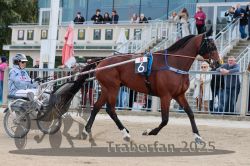 Dateiname=20251012_r08a_002_R05_0300.jpg
Dateigröße=337KB
Abmessungen: 1000x667
hinzugefügt am: 14. Oktober 2025 20251012_r08a_002_R05_0300.jpg