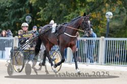 Dateiname=20251012_r08a_003_R05_0305.jpg
Dateigröße=315KB
Abmessungen: 1000x667
hinzugefügt am: 14. Oktober 2025 20251012_r08a_003_R05_0305.jpg