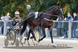 Dateiname=20251012_r08a_006_R05_0314.jpg
Dateigröße=314KB
Abmessungen: 1000x667
hinzugefügt am: 14. Oktober 2025 20251012_r08a_006_R05_0314.jpg