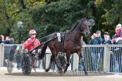 Dateiname=20251012_r08a_009_R05_0325.jpg
Dateigröße=314KB
Abmessungen: 1000x667
hinzugefügt am: 14. Oktober 2025 20251012_r08a_009_R05_0325.jpg