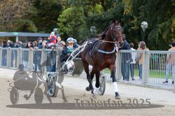 Dateiname=20251012_r08a_013_R05_0337.jpg
Dateigröße=324KB
Abmessungen: 1000x667
hinzugefügt am: 14. Oktober 2025 20251012_r08a_013_R05_0337.jpg