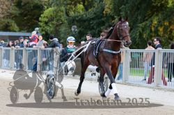 Dateiname=20251012_r08a_014_R05_0341.jpg
Dateigröße=326KB
Abmessungen: 1000x667
hinzugefügt am: 14. Oktober 2025 20251012_r08a_014_R05_0341.jpg