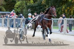 Dateiname=20251012_r08a_015_R05_0342.jpg
Dateigröße=302KB
Abmessungen: 1000x667
hinzugefügt am: 14. Oktober 2025 20251012_r08a_015_R05_0342.jpg