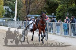 Dateiname=20251012_r08a_016_R05_0344.jpg
Dateigröße=328KB
Abmessungen: 1000x667
hinzugefügt am: 14. Oktober 2025 20251012_r08a_016_R05_0344.jpg