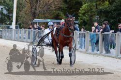 Dateiname=20251012_r08a_017_R05_0348.jpg
Dateigröße=325KB
Abmessungen: 1000x667
hinzugefügt am: 14. Oktober 2025 20251012_r08a_017_R05_0348.jpg