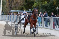 Dateiname=20251012_r08a_018_R05_0353.jpg
Dateigröße=327KB
Abmessungen: 1000x667
hinzugefügt am: 14. Oktober 2025 20251012_r08a_018_R05_0353.jpg