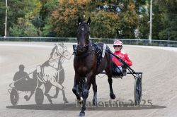 Dateiname=20251012_r08a_032_R05_0401.jpg
Dateigröße=309KB
Abmessungen: 1000x667
hinzugefügt am: 14. Oktober 2025 20251012_r08a_032_R05_0401.jpg