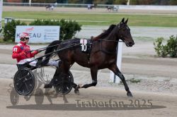 Dateiname=20251012_r08a_042_R05_0437.jpg
Dateigröße=267KB
Abmessungen: 1000x667
hinzugefügt am: 14. Oktober 2025 20251012_r08a_042_R05_0437.jpg