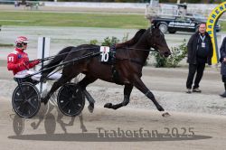 Dateiname=20251012_r08a_044_R05_0441.jpg
Dateigröße=288KB
Abmessungen: 1000x667
hinzugefügt am: 14. Oktober 2025 20251012_r08a_044_R05_0441.jpg