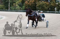 Dateiname=20251012_r08a_045_R05_0445.jpg
Dateigröße=301KB
Abmessungen: 1000x667
hinzugefügt am: 14. Oktober 2025 20251012_r08a_045_R05_0445.jpg