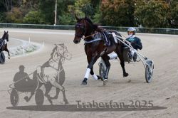 Dateiname=20251012_r08a_046_R05_0449.jpg
Dateigröße=303KB
Abmessungen: 1000x667
hinzugefügt am: 14. Oktober 2025 20251012_r08a_046_R05_0449.jpg