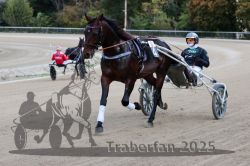 Dateiname=20251012_r08a_048_R05_0454.jpg
Dateigröße=272KB
Abmessungen: 1000x667
hinzugefügt am: 14. Oktober 2025 20251012_r08a_048_R05_0454.jpg