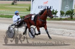 Dateiname=20251012_r08a_053_R05_0469.jpg
Dateigröße=279KB
Abmessungen: 1000x667
hinzugefügt am: 14. Oktober 2025 20251012_r08a_053_R05_0469.jpg