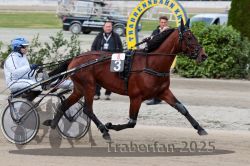 Dateiname=20251012_r08a_059_R05_0483.jpg
Dateigröße=309KB
Abmessungen: 1000x667
hinzugefügt am: 14. Oktober 2025 20251012_r08a_059_R05_0483.jpg