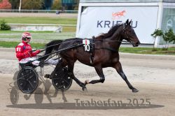 Dateiname=20251012_r08a_062_R05_0493.jpg
Dateigröße=284KB
Abmessungen: 1000x667
hinzugefügt am: 14. Oktober 2025 20251012_r08a_062_R05_0493.jpg