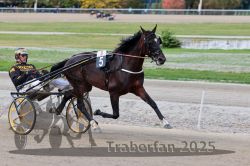 Dateiname=20251012_r08a_067_R05_0506.jpg
Dateigröße=291KB
Abmessungen: 1000x667
hinzugefügt am: 14. Oktober 2025 20251012_r08a_067_R05_0506.jpg