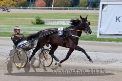 Dateiname=20251012_r08a_068_R05_0509.jpg
Dateigröße=288KB
Abmessungen: 1000x667
hinzugefügt am: 14. Oktober 2025 20251012_r08a_068_R05_0509.jpg