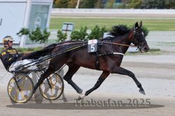 Dateiname=20251012_r08a_072_R05_0516.jpg
Dateigröße=265KB
Abmessungen: 1000x667
hinzugefügt am: 14. Oktober 2025 20251012_r08a_072_R05_0516.jpg