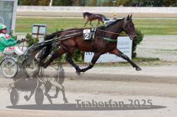 Dateiname=20251012_r08a_078_R05_0535.jpg
Dateigröße=284KB
Abmessungen: 1000x667
hinzugefügt am: 14. Oktober 2025 20251012_r08a_078_R05_0535.jpg