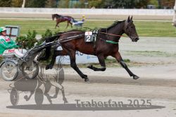 Dateiname=20251012_r08a_079_R05_0536.jpg
Dateigröße=273KB
Abmessungen: 1000x667
hinzugefügt am: 14. Oktober 2025 20251012_r08a_079_R05_0536.jpg