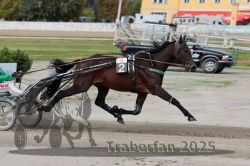 Dateiname=20251012_r08a_080_R05_0539.jpg
Dateigröße=270KB
Abmessungen: 1000x667
hinzugefügt am: 14. Oktober 2025 20251012_r08a_080_R05_0539.jpg