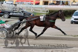 Dateiname=20251012_r08a_081_R05_0542.jpg
Dateigröße=284KB
Abmessungen: 1000x667
hinzugefügt am: 14. Oktober 2025 20251012_r08a_081_R05_0542.jpg