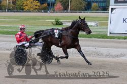 Dateiname=20251012_r08a_084_R05_0547.jpg
Dateigröße=289KB
Abmessungen: 1000x667
hinzugefügt am: 14. Oktober 2025 20251012_r08a_084_R05_0547.jpg