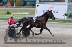 Dateiname=20251012_r08a_085_R05_0550.jpg
Dateigröße=271KB
Abmessungen: 1000x667
hinzugefügt am: 14. Oktober 2025 20251012_r08a_085_R05_0550.jpg