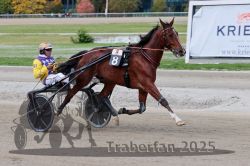 Dateiname=20251012_r08a_091_R05_0563.jpg
Dateigröße=285KB
Abmessungen: 1000x667
hinzugefügt am: 14. Oktober 2025 20251012_r08a_091_R05_0563.jpg