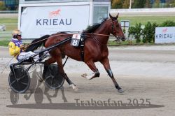 Dateiname=20251012_r08a_094_R05_0568.jpg
Dateigröße=289KB
Abmessungen: 1000x667
hinzugefügt am: 14. Oktober 2025 20251012_r08a_094_R05_0568.jpg