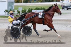 Dateiname=20251012_r08a_096_R05_0572.jpg
Dateigröße=292KB
Abmessungen: 1000x667
hinzugefügt am: 14. Oktober 2025 20251012_r08a_096_R05_0572.jpg