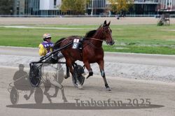 Dateiname=20251012_r08a_106_R05_0591.jpg
Dateigröße=282KB
Abmessungen: 1000x667
hinzugefügt am: 14. Oktober 2025 20251012_r08a_106_R05_0591.jpg