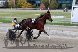 Dateiname=20251012_r08a_111_R05_0602.jpg
Dateigröße=288KB
Abmessungen: 1000x667
hinzugefügt am: 14. Oktober 2025 20251012_r08a_111_R05_0602.jpg