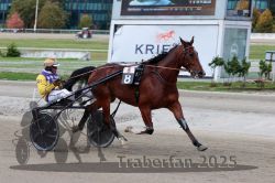 Dateiname=20251012_r08a_114_R05_0607.jpg
Dateigröße=293KB
Abmessungen: 1000x667
hinzugefügt am: 14. Oktober 2025 20251012_r08a_114_R05_0607.jpg