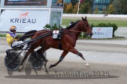 Dateiname=20251012_r08a_115_R05_0610.jpg
Dateigröße=272KB
Abmessungen: 1000x667
hinzugefügt am: 14. Oktober 2025 20251012_r08a_115_R05_0610.jpg