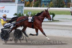 Dateiname=20251012_r08a_116_R05_0611.jpg
Dateigröße=278KB
Abmessungen: 1000x667
hinzugefügt am: 14. Oktober 2025 20251012_r08a_116_R05_0611.jpg