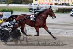 Dateiname=20251012_r08a_117_R05_0615.jpg
Dateigröße=291KB
Abmessungen: 1000x667
hinzugefügt am: 14. Oktober 2025 20251012_r08a_117_R05_0615.jpg