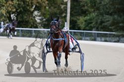 Dateiname=20251012_r08a_119_R05_0622.jpg
Dateigröße=243KB
Abmessungen: 1000x667
hinzugefügt am: 14. Oktober 2025 20251012_r08a_119_R05_0622.jpg